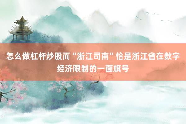 怎么做杠杆炒股而“浙江司南”恰是浙江省在数字经济限制的一面旗号