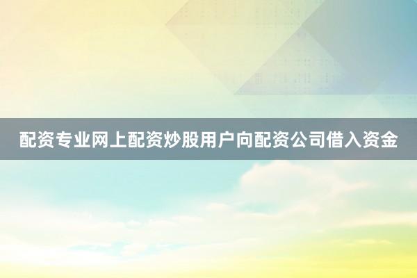 配资专业网上配资炒股用户向配资公司借入资金